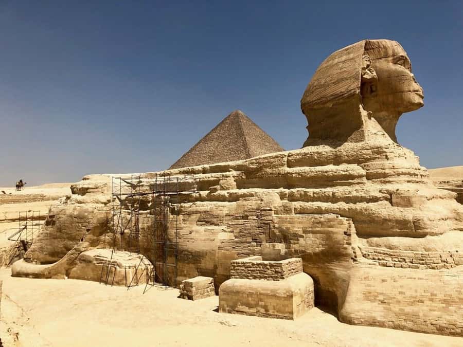 Marsa Alam: Ancient Cairo & Giza Pyramids Day Trip by Plane - The Egyptian Museum: seeing thousands of artifacts without losing your mind