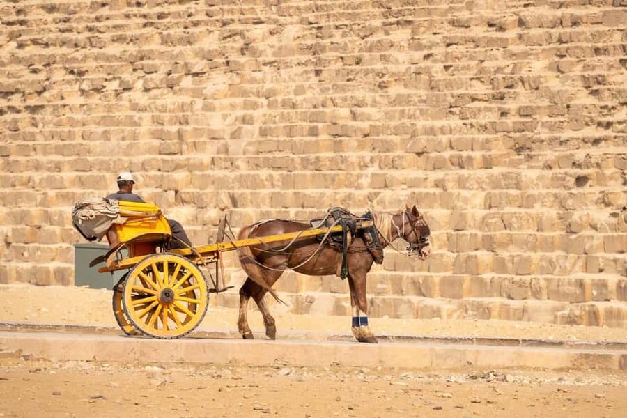 Marsa Alam: Ancient Cairo & Giza Pyramids Day Trip by Plane - Should you book this Marsa Alam to Cairo day trip?
