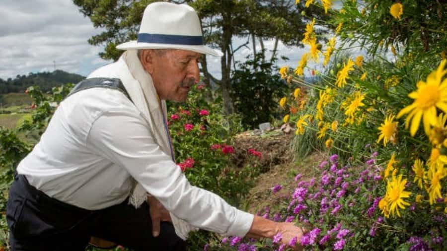 Medellín: Flower Farm & Silletero History Tour - The flower farm estate visit: learning the craft up close