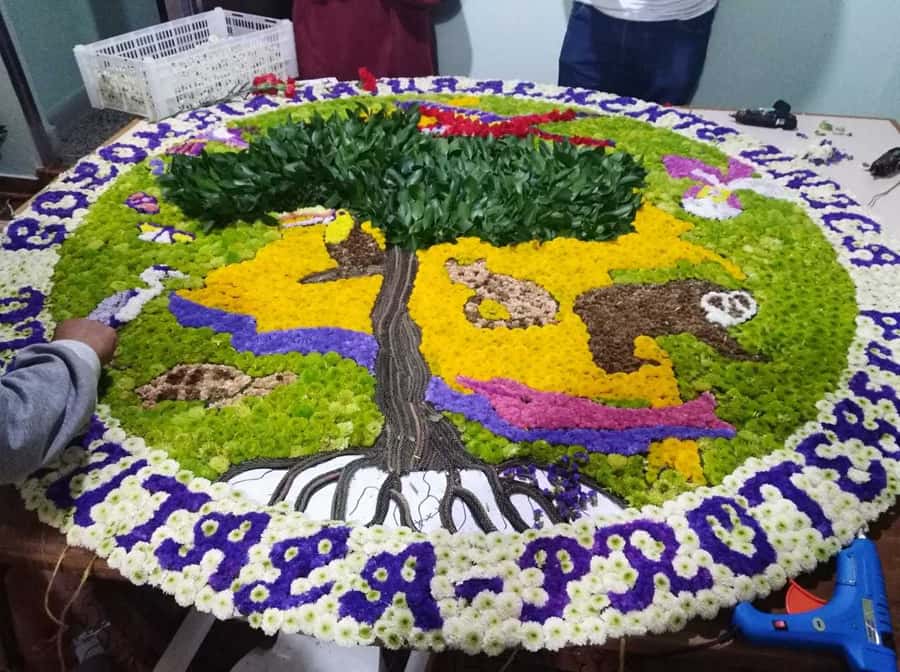 Medellín: Flower Farm & Silletero History Tour - Price and logistics: does $70 make sense for you?