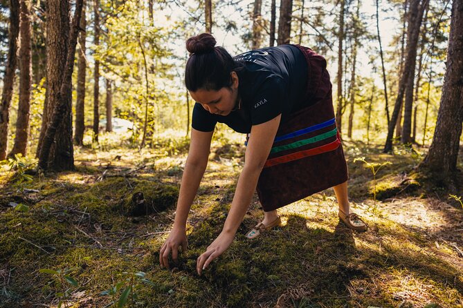 Mi'kmaq Heritage Path Tour - The Heritage Path forest walk and teachings on medicines
