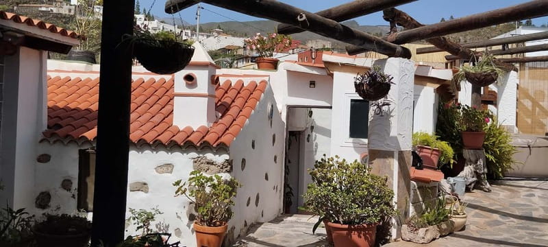 Mojo Workshop Cooking Class in Ancient Canarian Village - Mojo-making in a mortar: where the flavor really changes