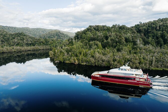 Morning World Heritage Cruise on the Gordon River from Strahan - Key highlights you’ll notice fast