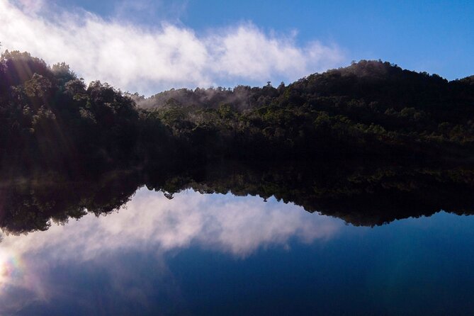 Morning World Heritage Cruise on the Gordon River from Strahan - Franklin-Gordon Wild Rivers boardwalk: your guided nature walk (not a free-for-all)
