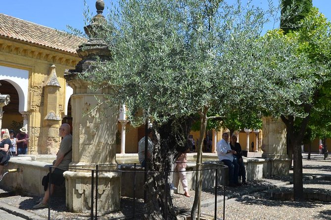 Mosque of Cordoba History Tour in English Tickets included - Extra Details That Many Guides Spotlight
