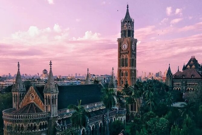 Mumbai Heritage Walk and Elephanta Caves Experience - Price and the $8 Elephanta monuments fee: what you’re really paying