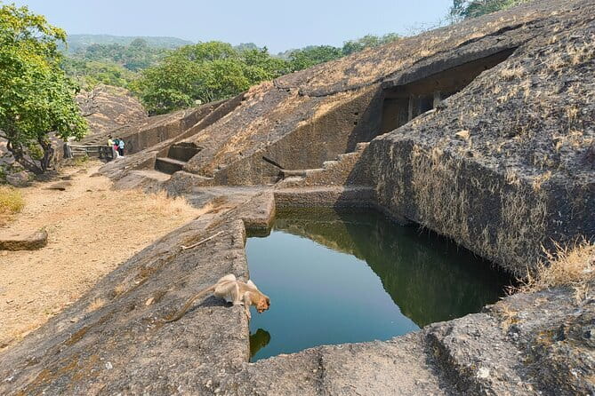 Mumbai Kanheri Caves & Golden Pagoda – A Buddhist Settlement - Price and value: what $34.04 covers (and why it’s not just a ticket)