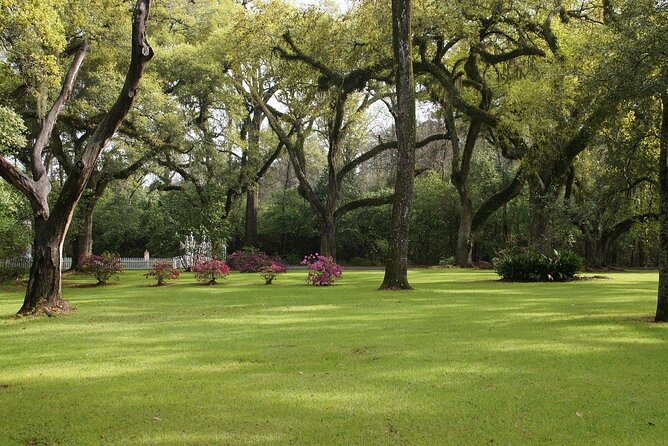 Myrtles Plantation Daytime Historical Tour - Gift Shop and Food: Easy Wins for the Rest of Your Day