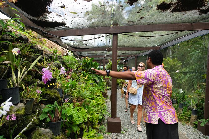 Nadi Heritage Tour - TifaJek Mud Pools: the natural reset (and how to enjoy it)