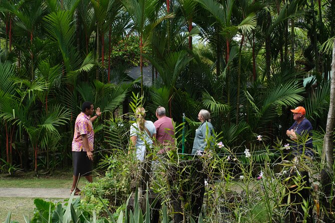 Nadi Heritage Tour - How the tour actually runs: pickup, comfort, and pacing