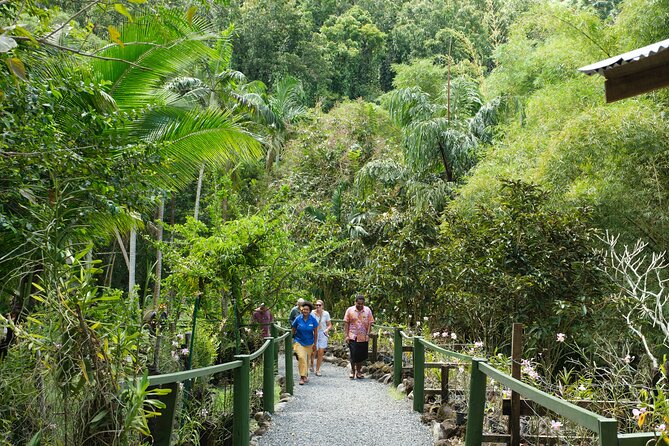 Nadi Heritage Tour - Price and value: $86 for a half-day with entry fees covered