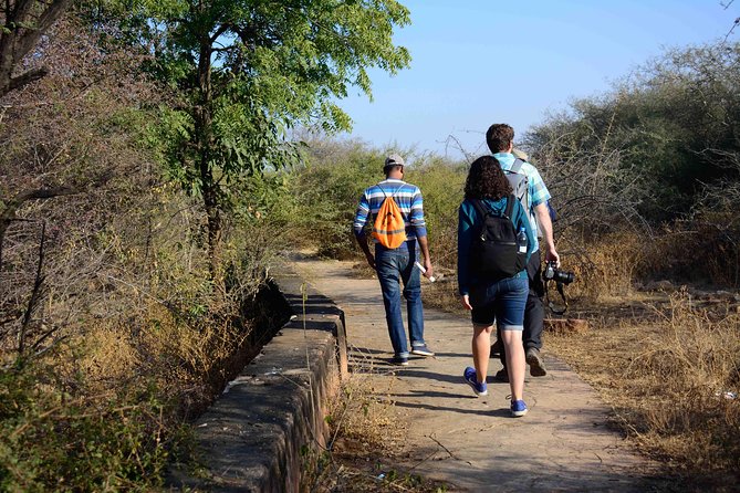Nahargarh Water Walk - Guided 2-Hour Heritage Tour in Jaipur - The 2-Hour Walk: What You’ll See Close Up