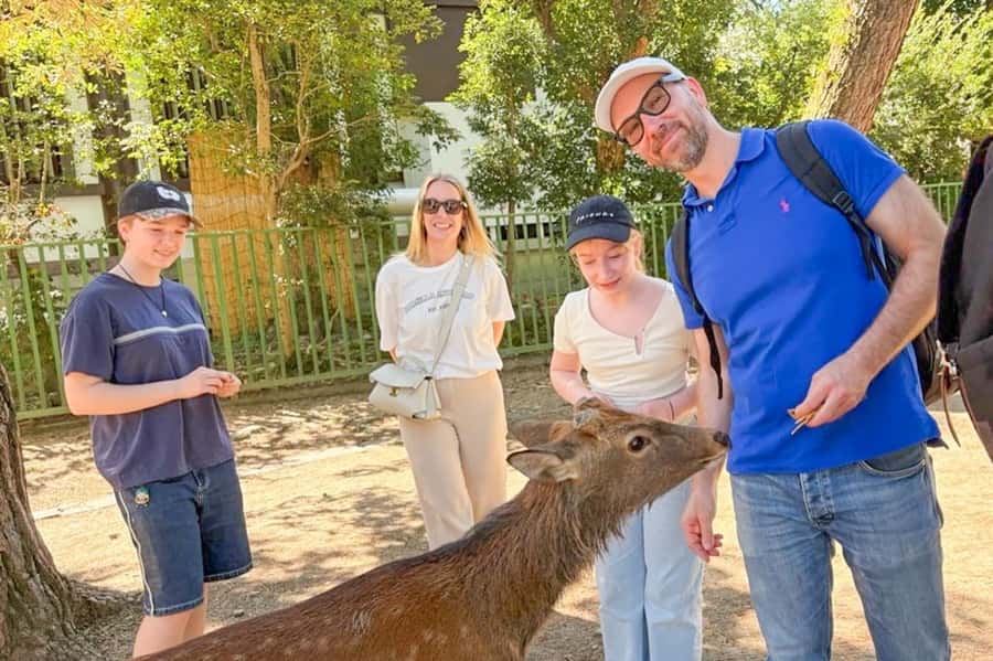 Nara: Half-Day UNESCO Heritage & Local Culture Walking Tour - Key Highlights You’ll Actually Notice