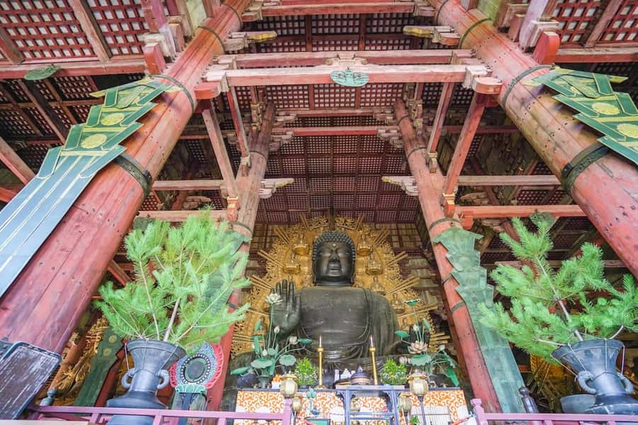 Nara: Half-Day UNESCO Heritage & Local Culture Walking Tour - Naramachi Nigiwai-no-le and the Old-Town Texture Most People Miss