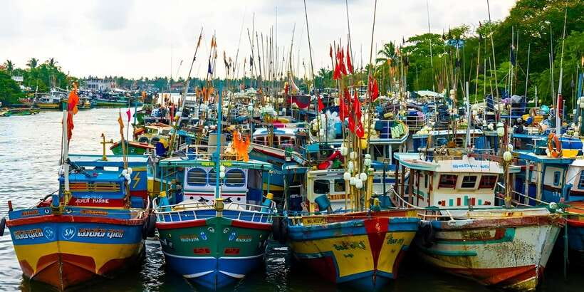 Negombo Heritage Walking Tour - Key Highlights Worth Knowing Before You Walk