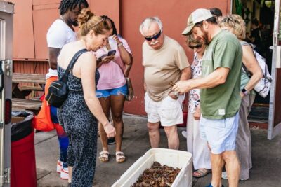 New Orleans: Garden District Food, Drinks & History Tour - Garden District walk: shotgun houses, mansions, and the “why” behind the look