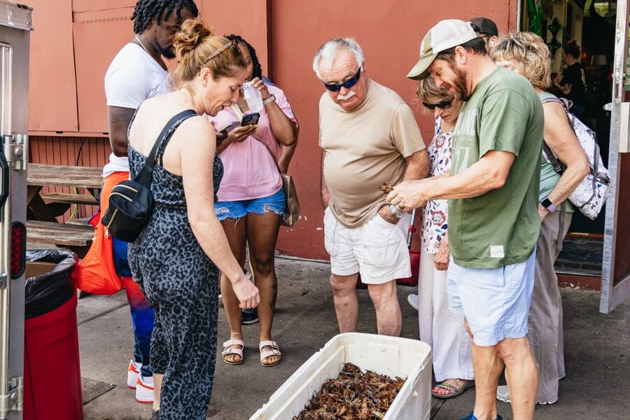 New Orleans: Garden District Food, Drinks & History Tour - Garden District walk: shotgun houses, mansions, and the “why” behind the look