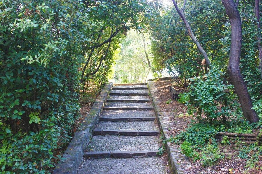 Nice: Theatrical History Tour - Secrets of the Castle Hill - Castle Hill and Colline du Château: what you’ll see and why it matters