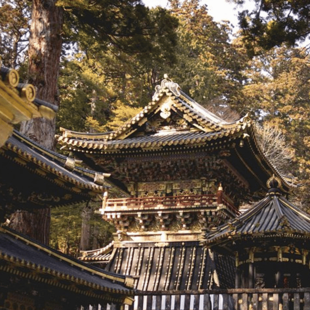 Nikko Heritage & Nature Day Trip from Tokyo - Price and logistics: what $391 per group buys you
