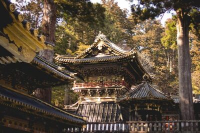 Nikko Private Day Tour from Tokyo with English-Speaking Driver - The Tokyo-to-Nikko drive: the timing reality you should plan for
