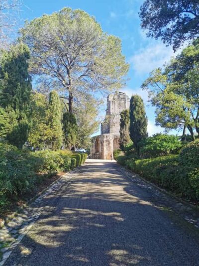Nîmes - Spend a day like an ancient Roman - Tour Magne: the 2,000-year-old watchtower that sets the tone