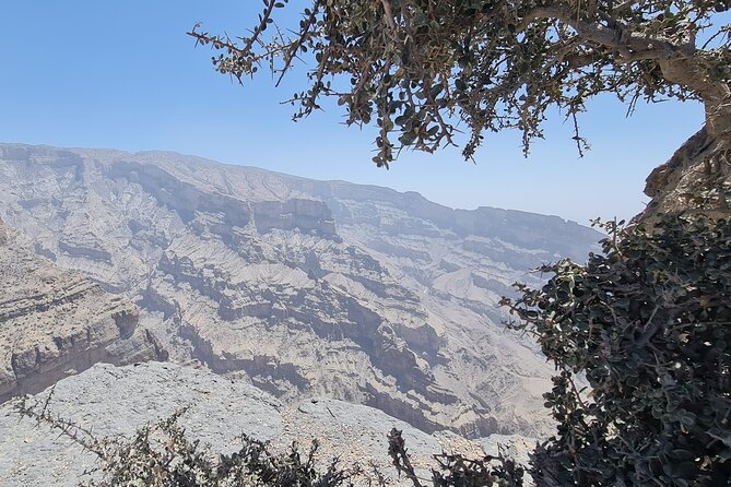 Nizwa Heritage & Jebel Shams Canyon – Private Tour from Muscat - Al Hamra Museum and Village Culture: Quick, Focused, and Worth It
