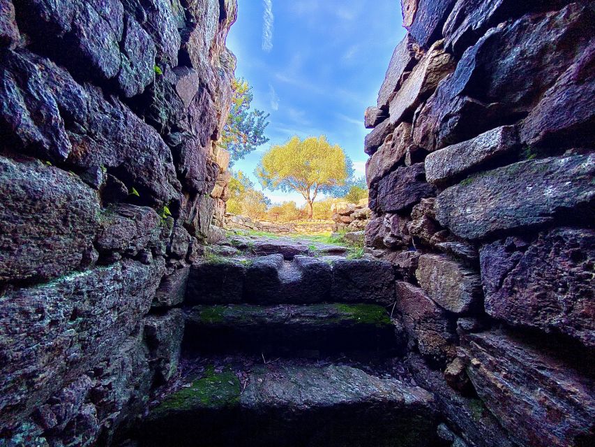 Olbia: Archaeological Tour of Ancient Sardinia + Transport - Price and value: what $106 gets you (and what you’ll need to plan yourself)