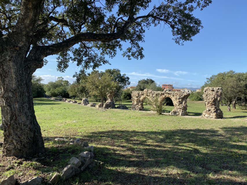 Olbia: Archaeological Tour of Ancient Sardinia + Transport - Su Mont’e s’Abe Giants’ Tomb: the monumental Nuragic moment