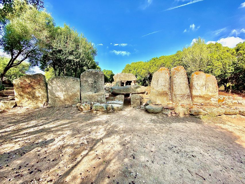 Olbia: Archaeological Tour of Ancient Sardinia + Transport - Pozzo Sacro di Sa Testa: where water rituals meet atmosphere