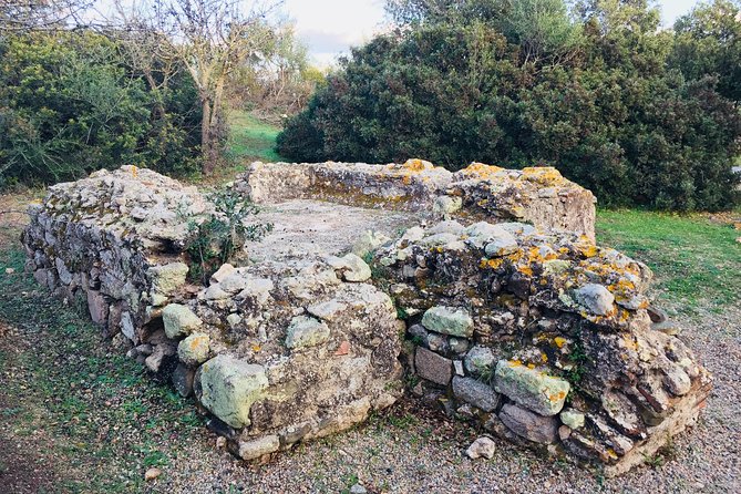 Olbia : Tuk-Tuk Tour – Ancient Treasures of Sardinia + pickup - Stop 4: Tomba dei Giganti Su Monte ’e S’Abe and the bull-headed theme