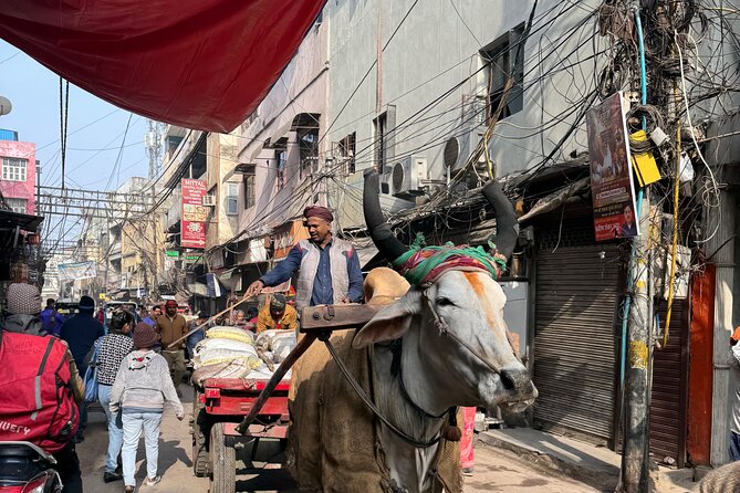 Old Delhi Heritage Food Walk - Old Delhi in 4.5 hours: what this walk really covers