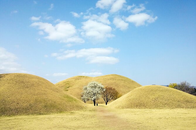 Old Korea Thousand History Tour of Gyeongju from Busan - Daereungwon Tomb Complex: Big Significance, Simple Visuals