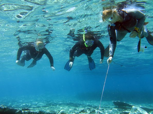 Olous – Guided Snorkelling Excursion to Discover Olous Sunken Ancient City - Key Things I’d Book This For