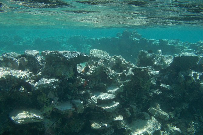 Olous – Guided Snorkelling Excursion to Discover Olous Sunken Ancient City - Getting to Olous: Short Transfer, Big Payoff