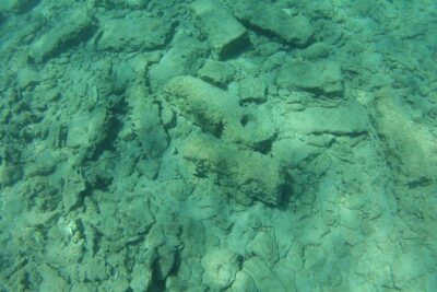Olous – Guided Snorkelling Excursion to Discover Olous Sunken Ancient City - Gear That’s More Than a Box Check
