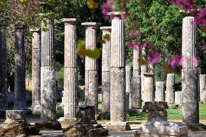 Olympia Shore Ex: Olympic site, Honey Farm & Olive Oil Tasting - Ancient Olympia Ruins: The Torch Ceremony Landmarks You Actually Came For