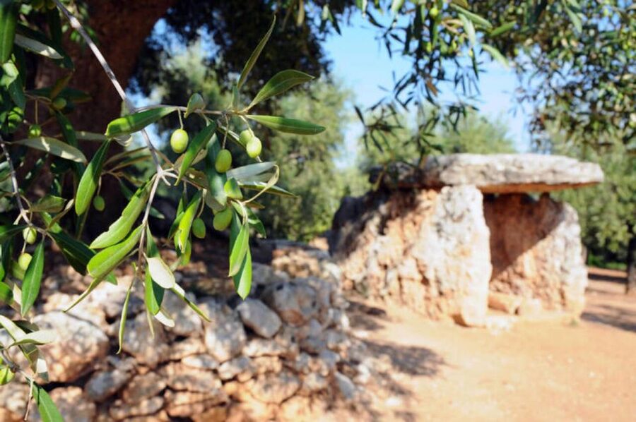 Ostuni: E-bike Tour, Ancient Olive Trees & Oil Tasting - Why an Ostuni E-bike Tour Beats a Car for Olive Groves and Quiet Paths