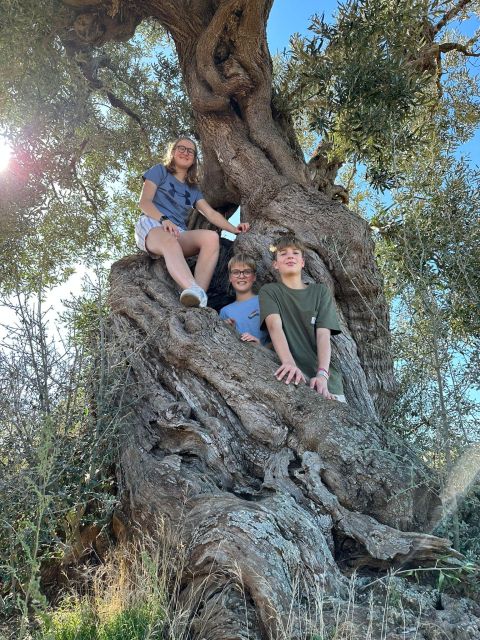 Ostuni: E-bike Tour, Ancient Olive Trees & Oil Tasting - Pedal Through the Coastal Dunes Regional Park: Olive Trees, Stone Walls, and Photo Stops