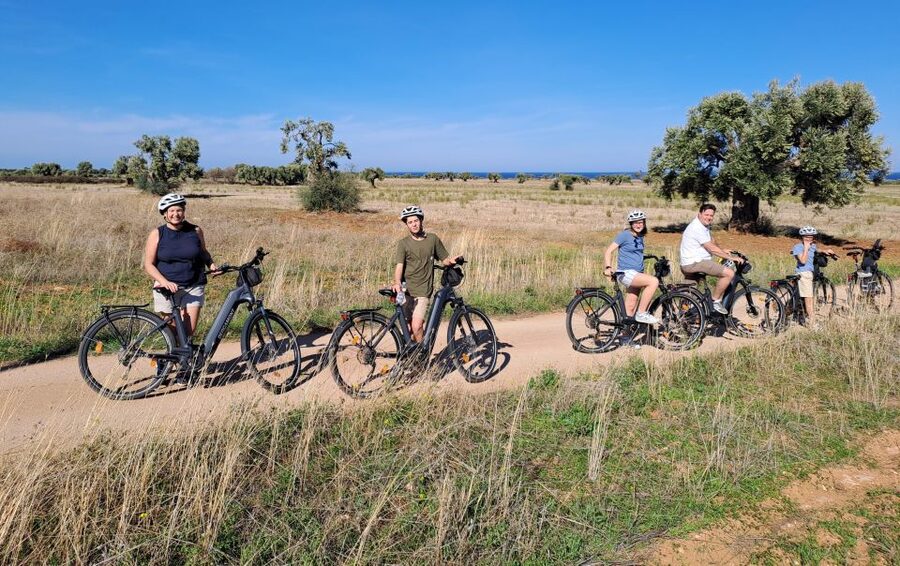 Ostuni: E-bike Tour, Ancient Olive Trees & Oil Tasting - E-bike Comfort and What to Bring (Helmet Options Included)