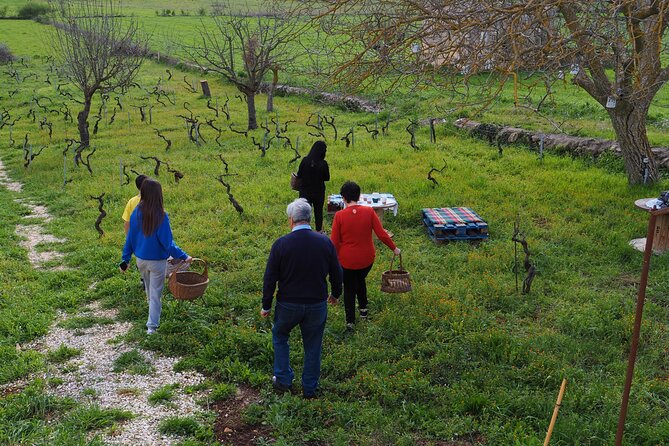 Picnic aperitif in the vineyard of an ancient trullo in Martina Franca - A 17th-Century Trullo Vineyard Sets the Tone in Martina Franca