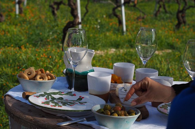 Picnic aperitif in the vineyard of an ancient trullo in Martina Franca - Price and Value: Is $54.01 Worth It?