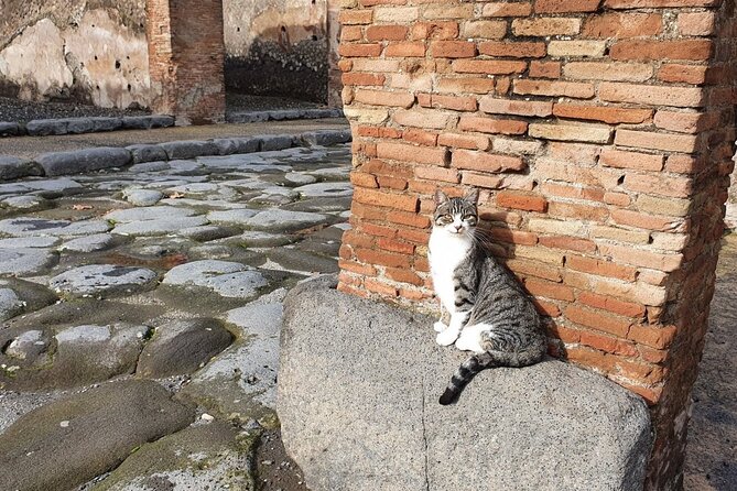 Pompeii the Ancient City (Tour+Transfer) - Teatro Grande: Entertainment in Stone