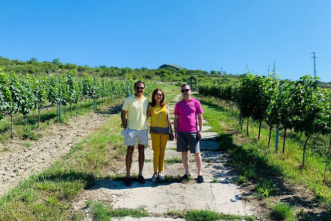Private Bohemia Wine Tour from Prague with Gourmet Tastings - Private Bohemia Wine Tour From Prague: How the Day Feels