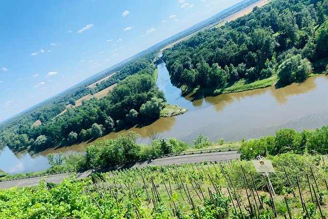 Private Bohemia Wine Tour from Prague with Gourmet Tastings - Stop 2: Žalhostice and Vinařství Pod Radobýlem Under Volcanic Slopes