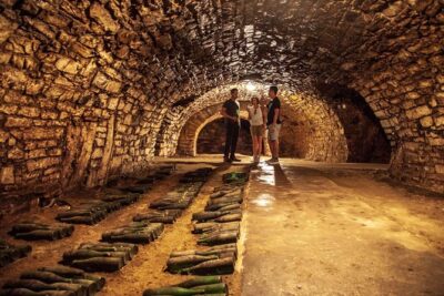 Private Bohemia Wine Tour from Prague with Gourmet Tastings - Stop 1: Zamek Mělník and a Renaissance Château Over the Rivers