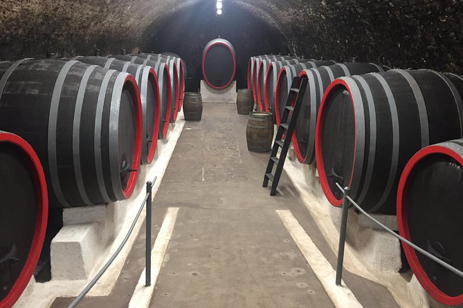 Private Bohemia Wine Tour from Prague with Gourmet Tastings - Price and What You Actually Get for $359.22