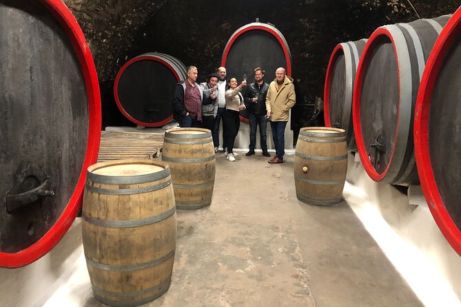 Private Bohemia Wine Tour from Prague with Gourmet Tastings - What to Expect from the Schedule (Without the Stress)