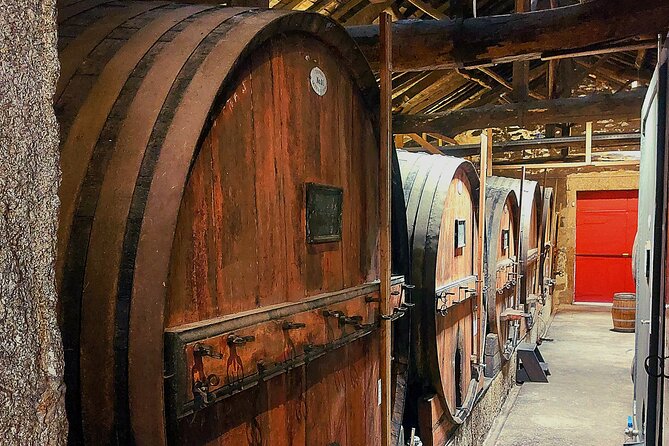 Private Douro Valley UNESCO Wine Tour from Porto with Lunch - The 1-hour Douro boat trip: why this is more than a photo stop