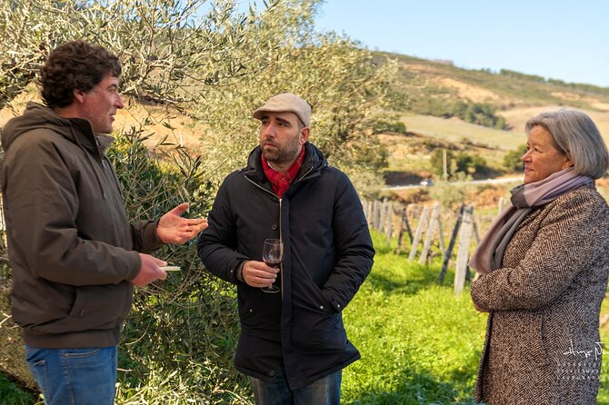 Private Douro Valley UNESCO Wine Tour from Porto with Lunch - Booking value: what you’re really paying for at $288 per person
