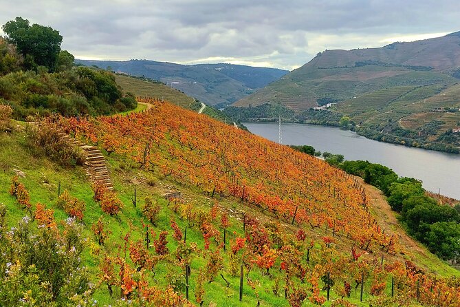 Private Douro Valley UNESCO Wine Tour from Porto with Lunch - What the guide factor changes (including the Hugo effect)